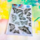 Butterflies and Moths
